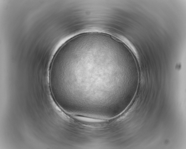 X0000093611388200710291156
