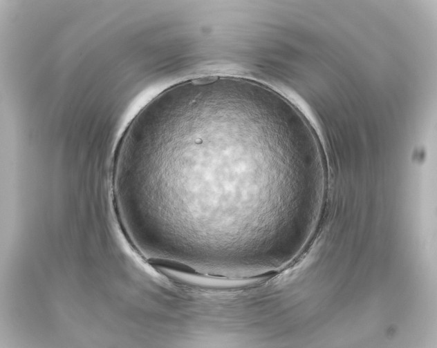 X0000093611389200710291156
