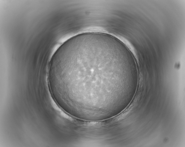 X0000093611390200710291156