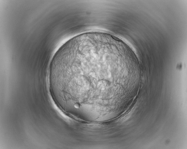 X0000093611391200710291156