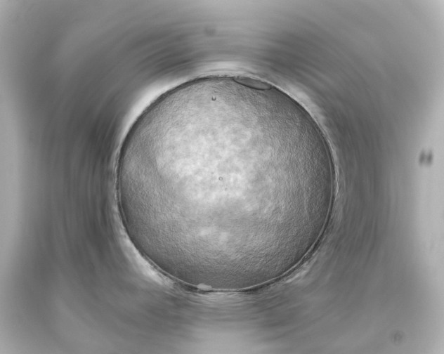 X0000093611392200710291156