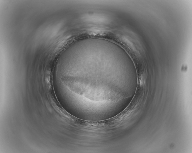 X0000093611396200710291155