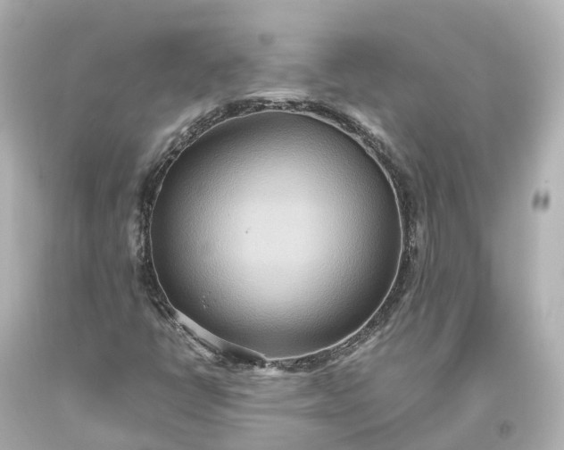 X0000093611398200710291155