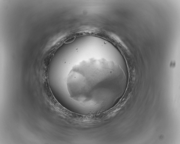 X0000093611399200710291155