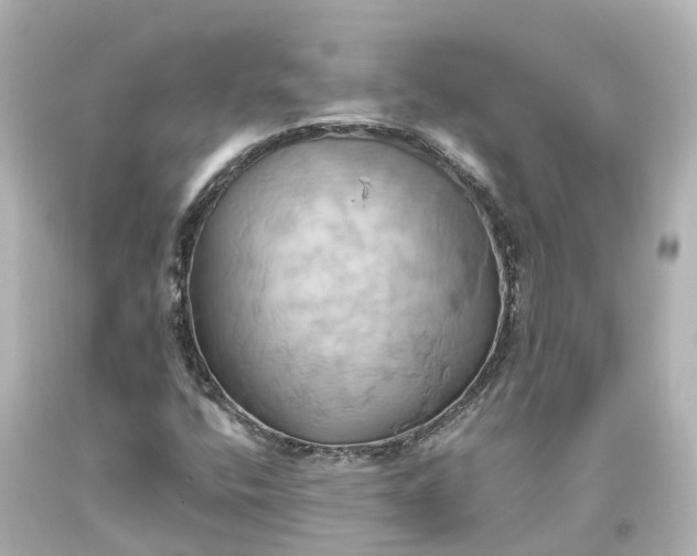 X0000093611400200710291155