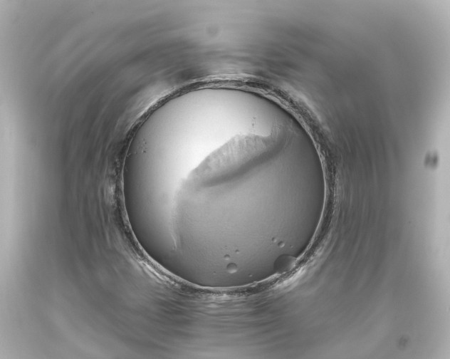 X0000093611401200710291155