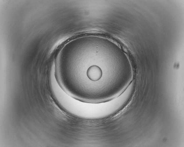 X0000093611402200710291155