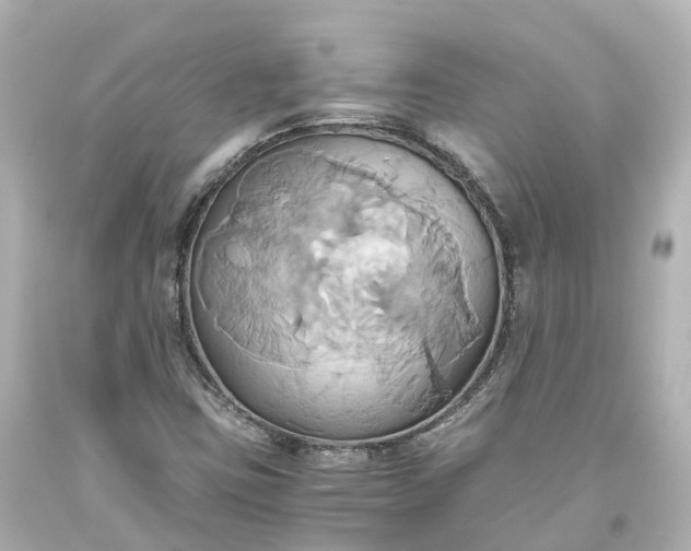 X0000093611403200710291155