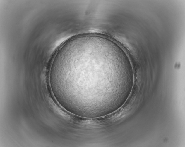 X0000093611404200710291155
