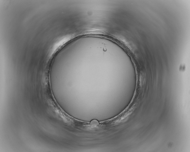 X0000093611405200710291155