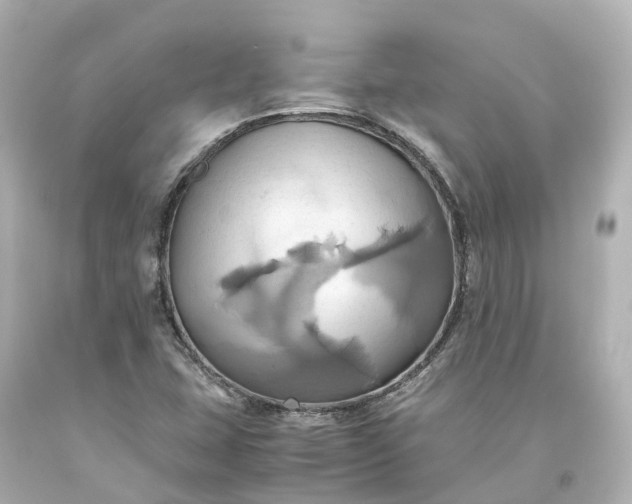 X0000093611407200710291155