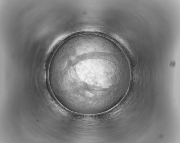 X0000093611408200710291155