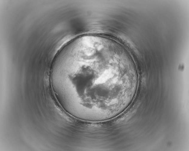 X0000093611409200710291155