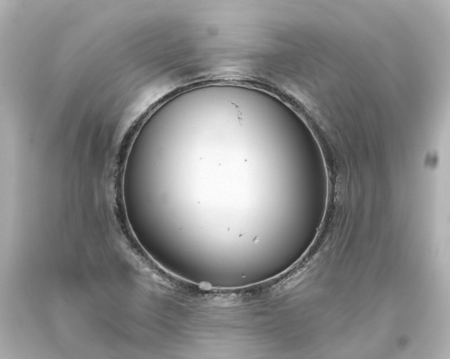 X0000093611410200710291155