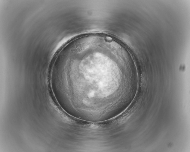 X0000093611412200710291155