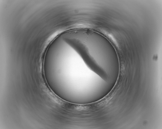 X0000093611419200710291155