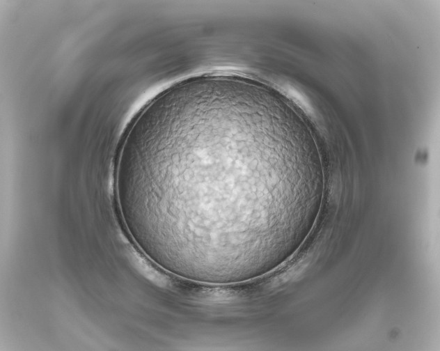 X0000093611420200710291155
