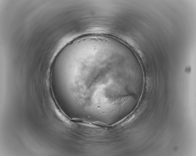 X0000093611421200710291155