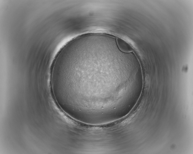 X0000093611424200710291155