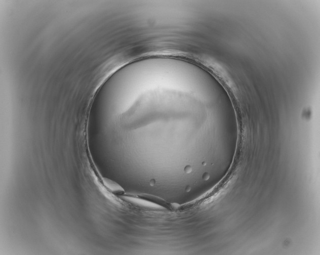X0000093611425200710291155