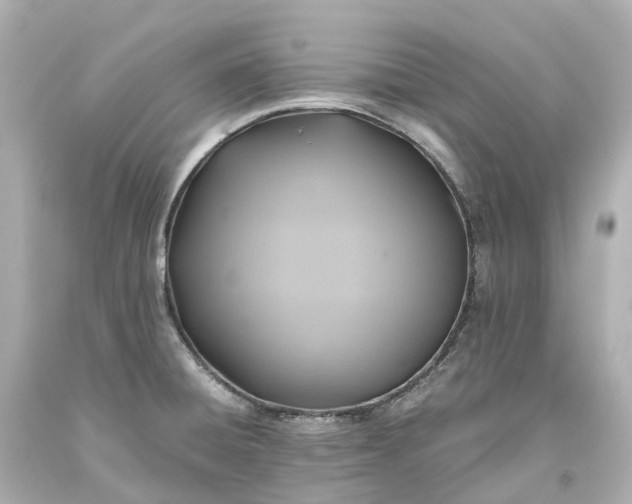 X0000093611428200710291155