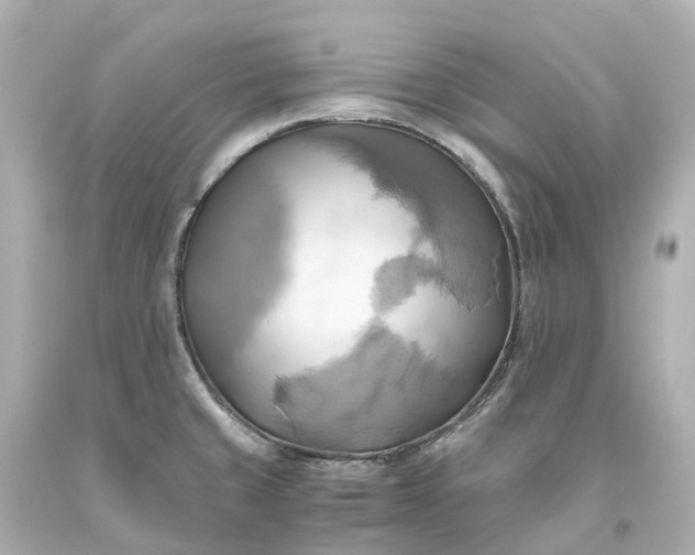 X0000093611429200710291155