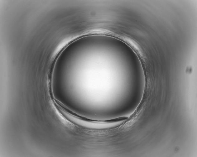 X0000093611430200710291155