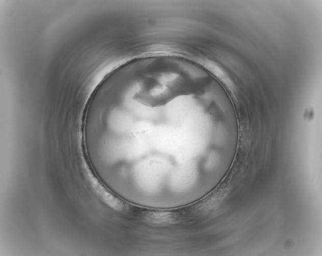X0000093611431200710291155