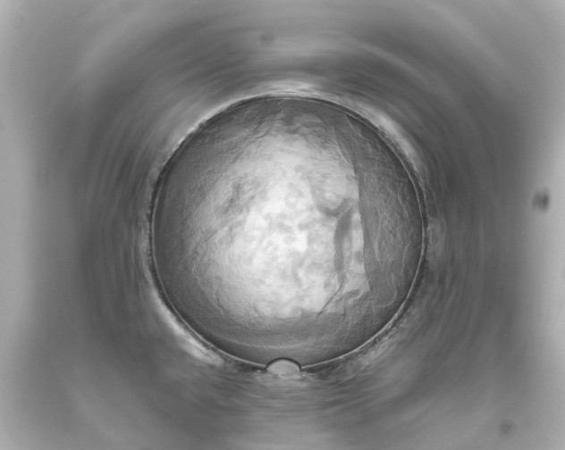 X0000093611432200710291155