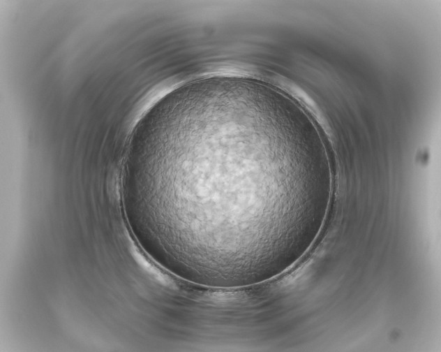 X0000093611433200710291155
