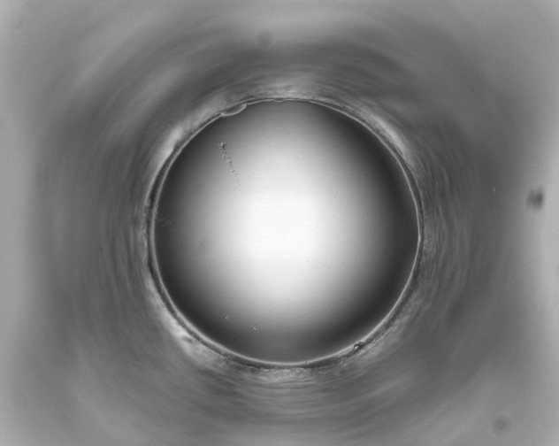 X0000093611434200710291155
