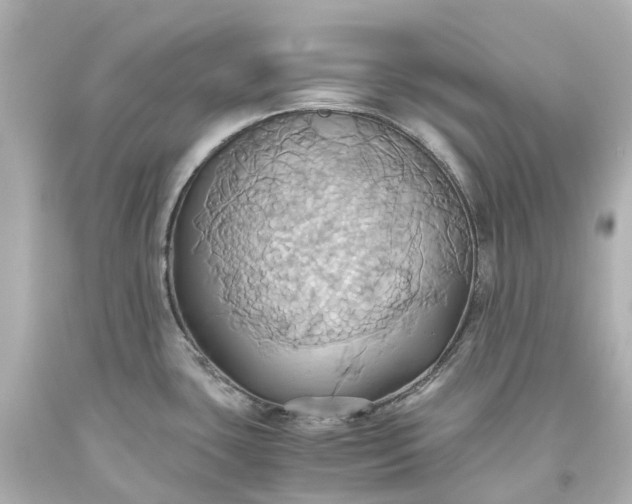 X0000093611435200710291155