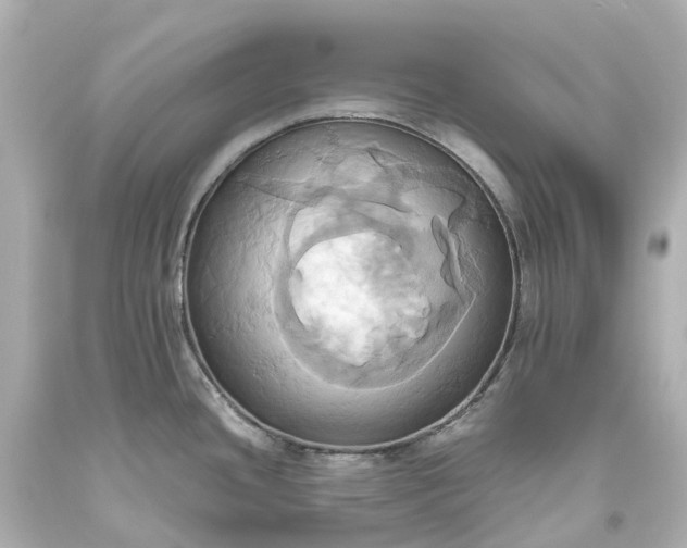X0000093611436200710291155