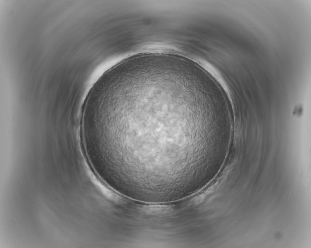 X0000093611437200710291155