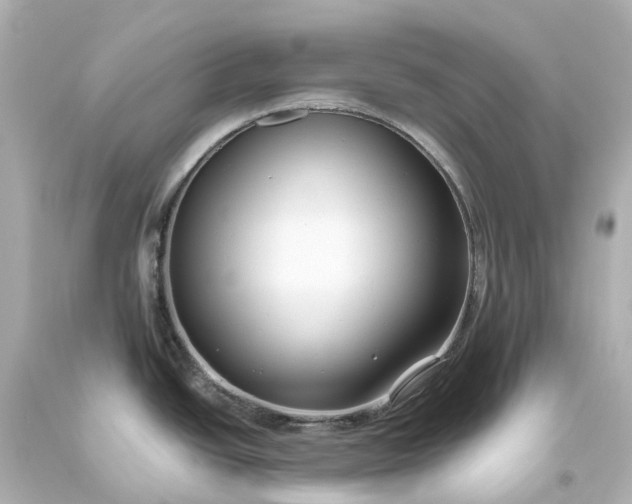 X0000093611438200710291156