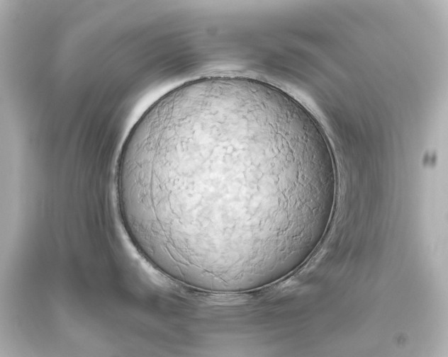 X0000093611440200710291156