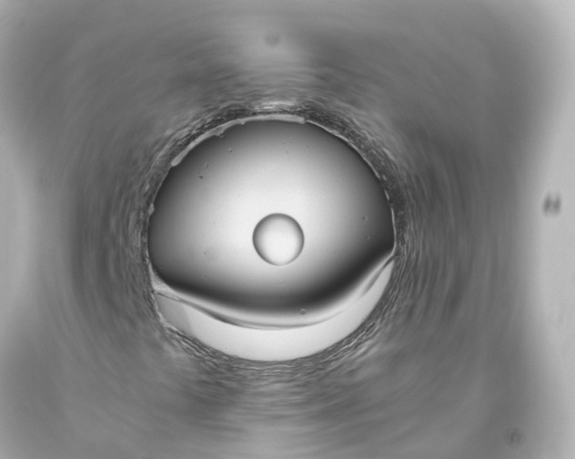 X0000093611441200710291155
