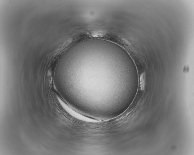 X0000093611443200710291155