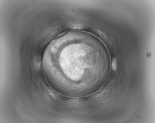 X0000093611444200710291155