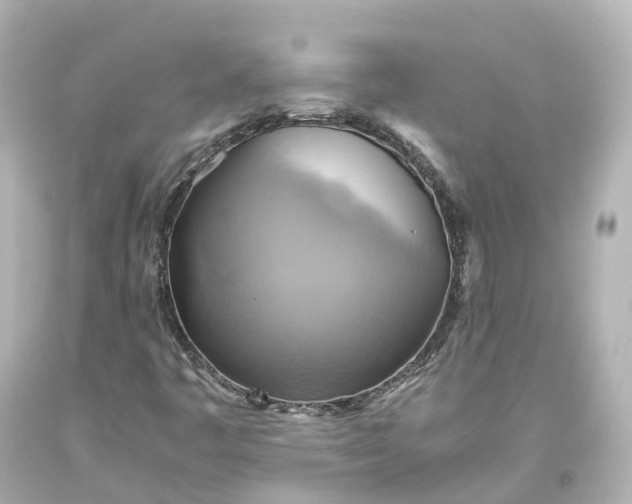 X0000093611445200710291155