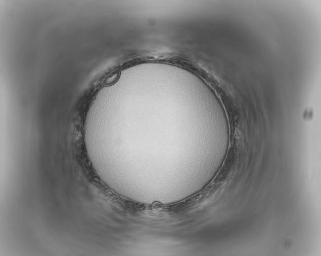 X0000093611447200710291155