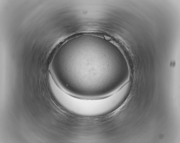 X0000093611449200710291155