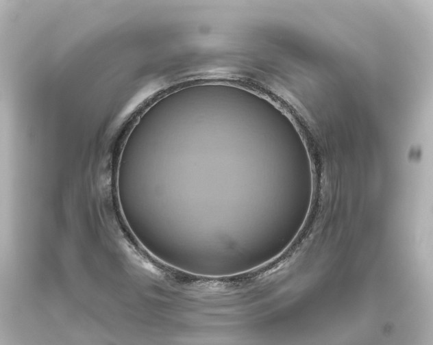 X0000093611450200710291155