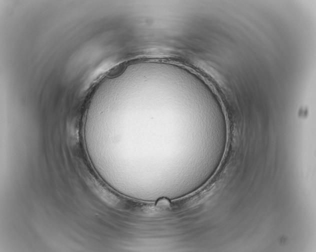 X0000093611451200710291155