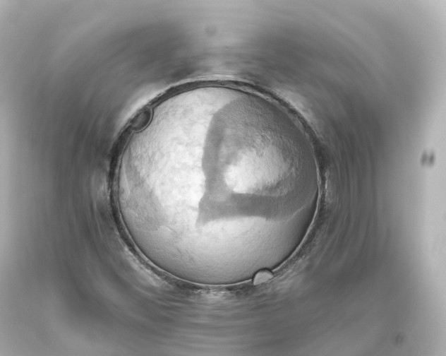X0000093611452200710291155