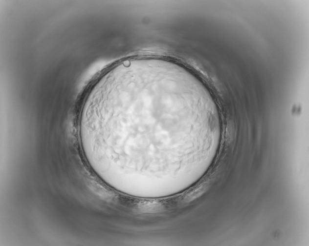 X0000093611454200710291155