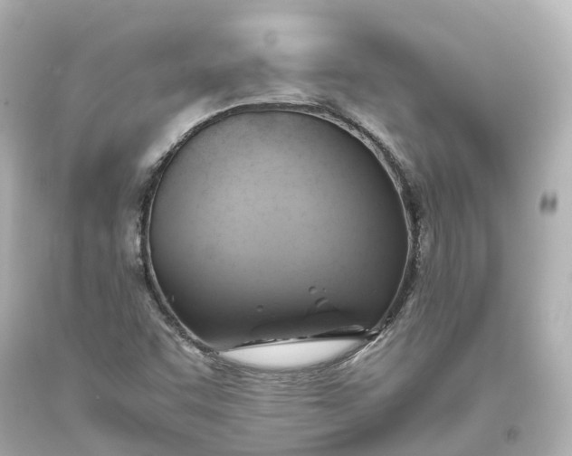 X0000093611455200710291155