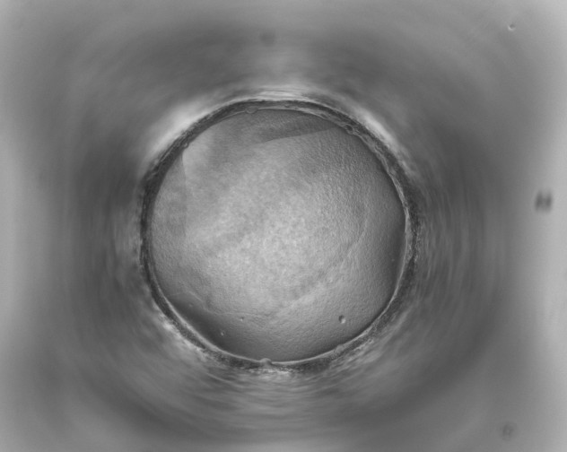 X0000093611456200710291155