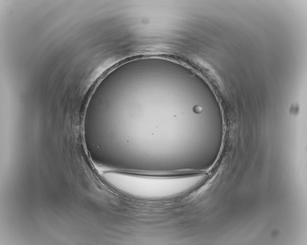 X0000093611457200710291155