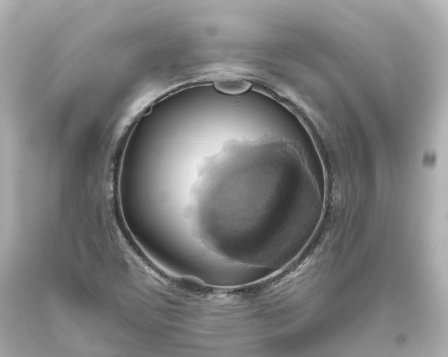 X0000093611459200710291155